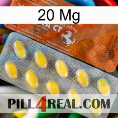 20 Mg 42